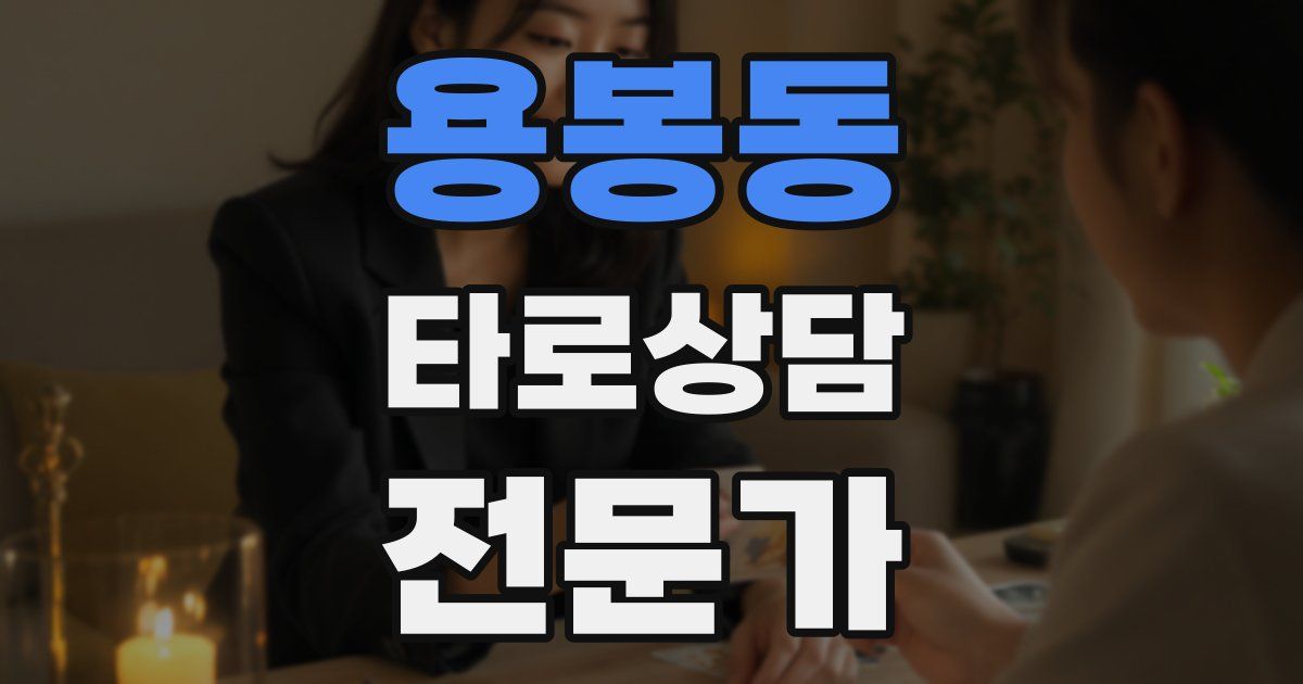 용봉동 타로상담전문가 자격증