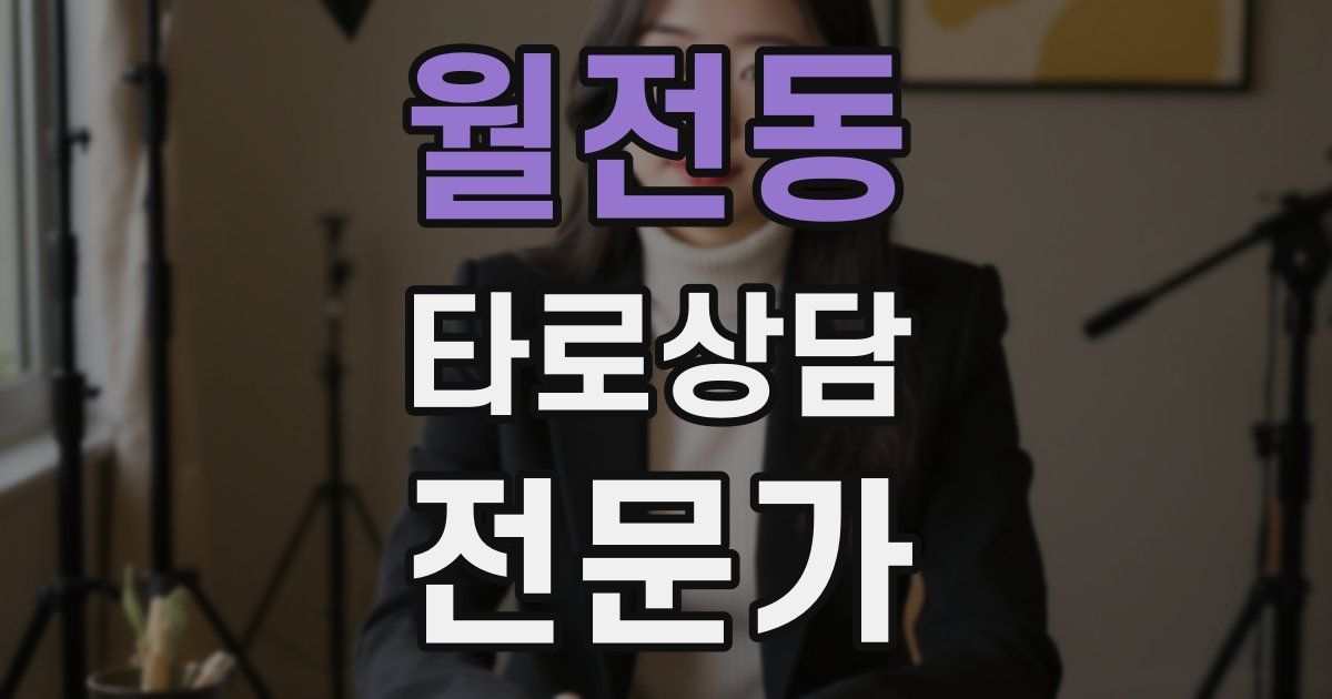 월전동 타로상담전문가 자격증
