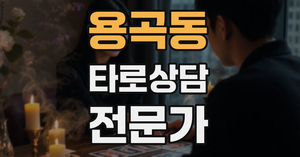 용곡동 타로상담전문가 자격증