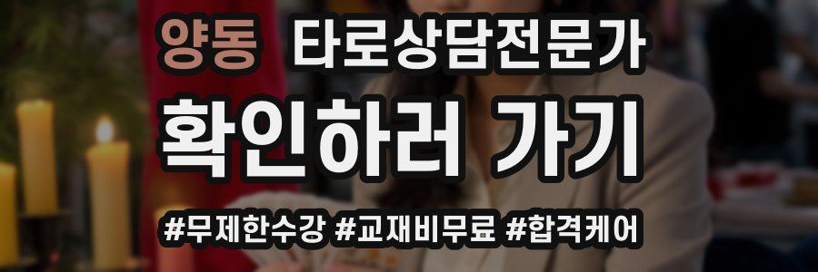 양동 타로상담전문가 자격증