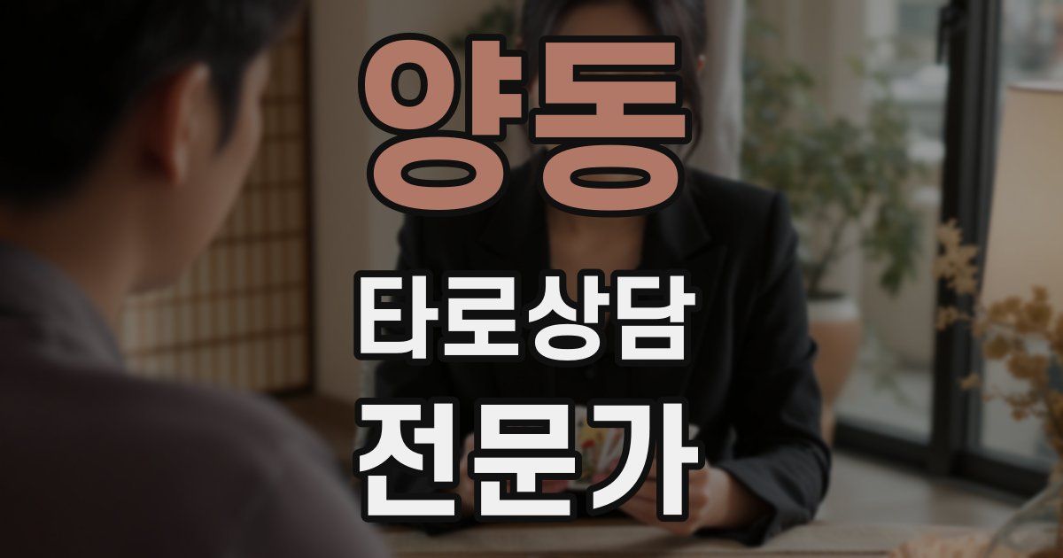 양동 타로상담전문가 자격증