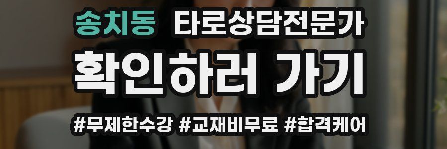 송치동 타로상담전문가 자격증