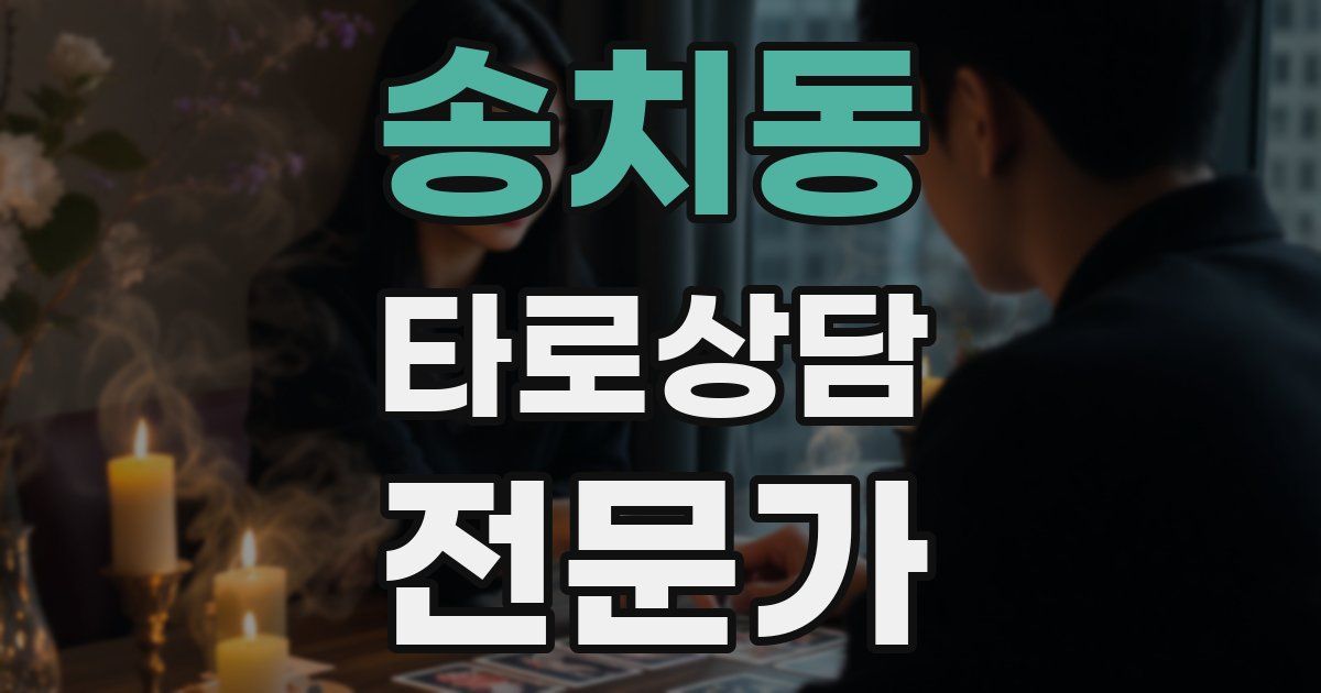 송치동 타로상담전문가 자격증