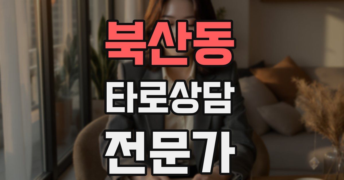 북산동 타로상담전문가 자격증