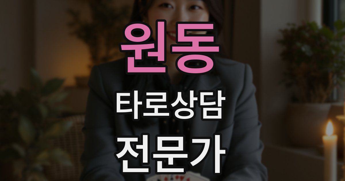원동 타로상담전문가 자격증