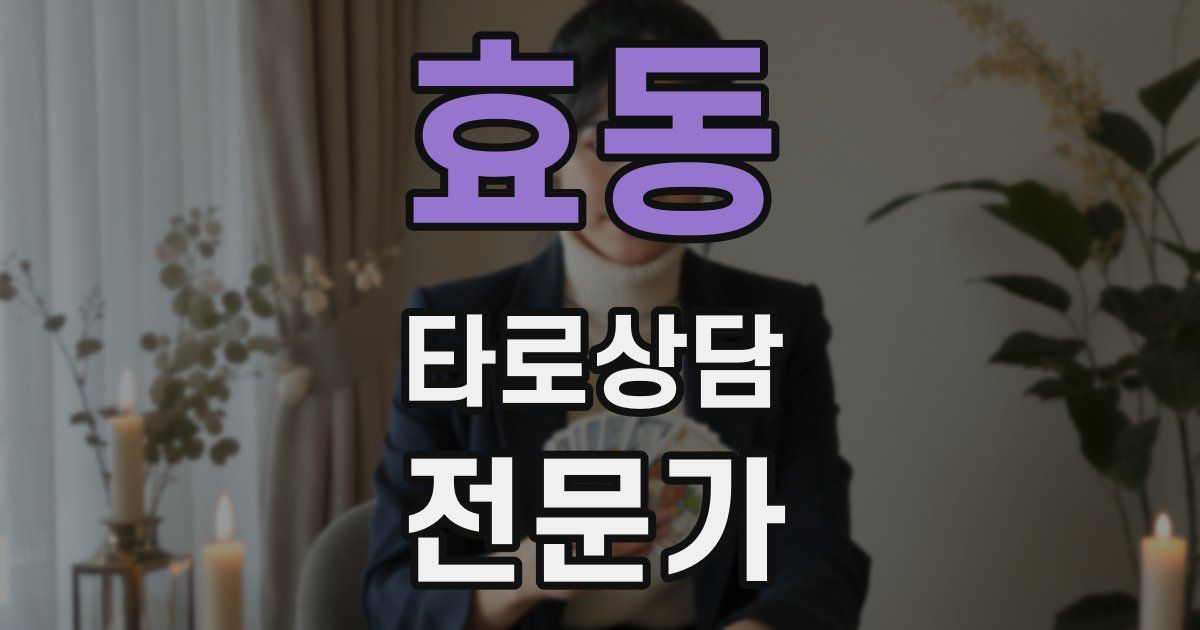 효동 타로상담전문가 자격증