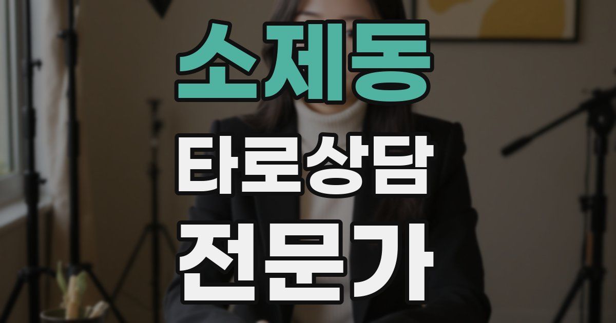 소제동 타로상담전문가 자격증