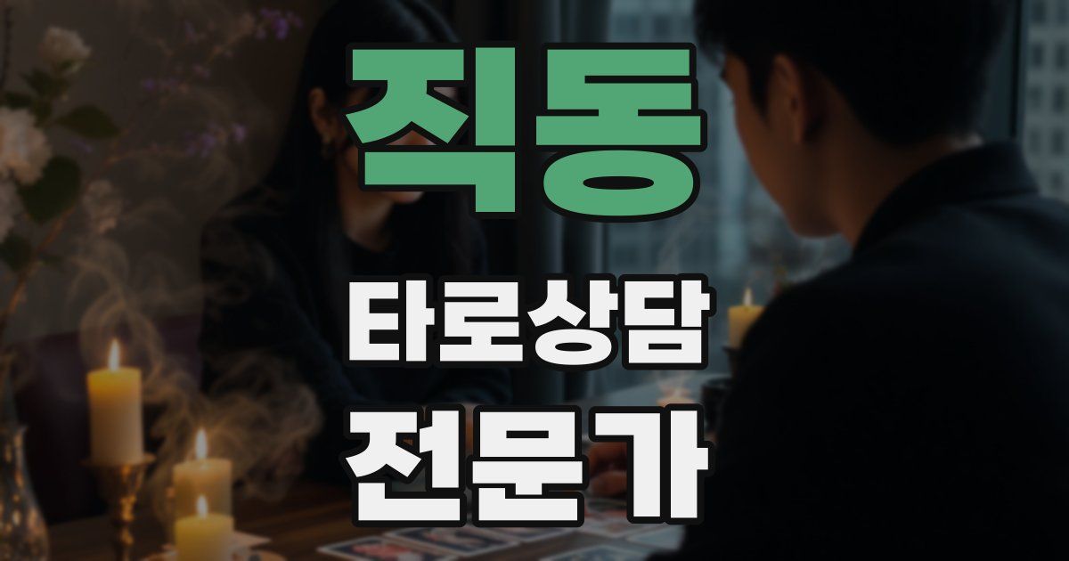 직동 타로상담전문가 자격증