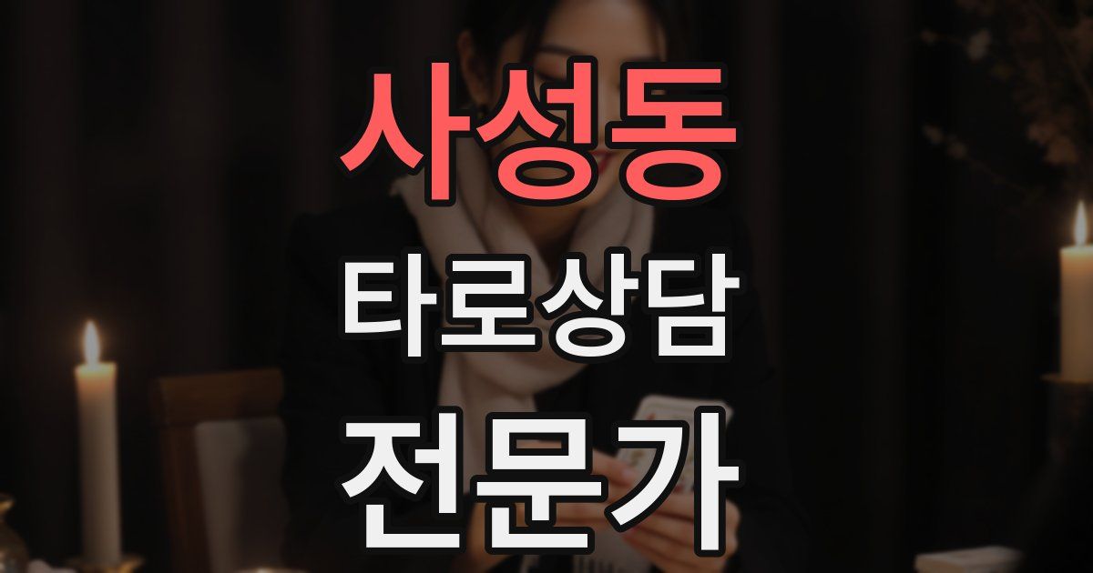 사성동 타로상담전문가 자격증
