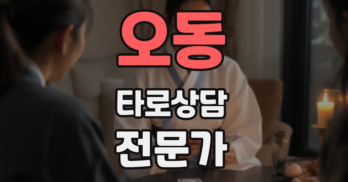 오동 타로상담전문가 자격증