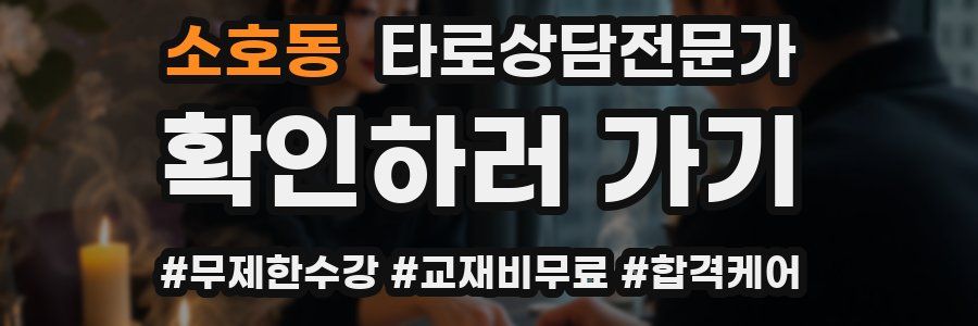 소호동 타로상담전문가 자격증