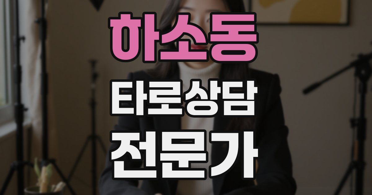 하소동 타로상담전문가 자격증