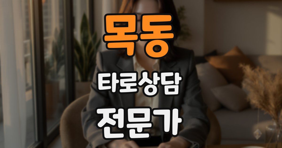 목동 타로상담전문가 자격증