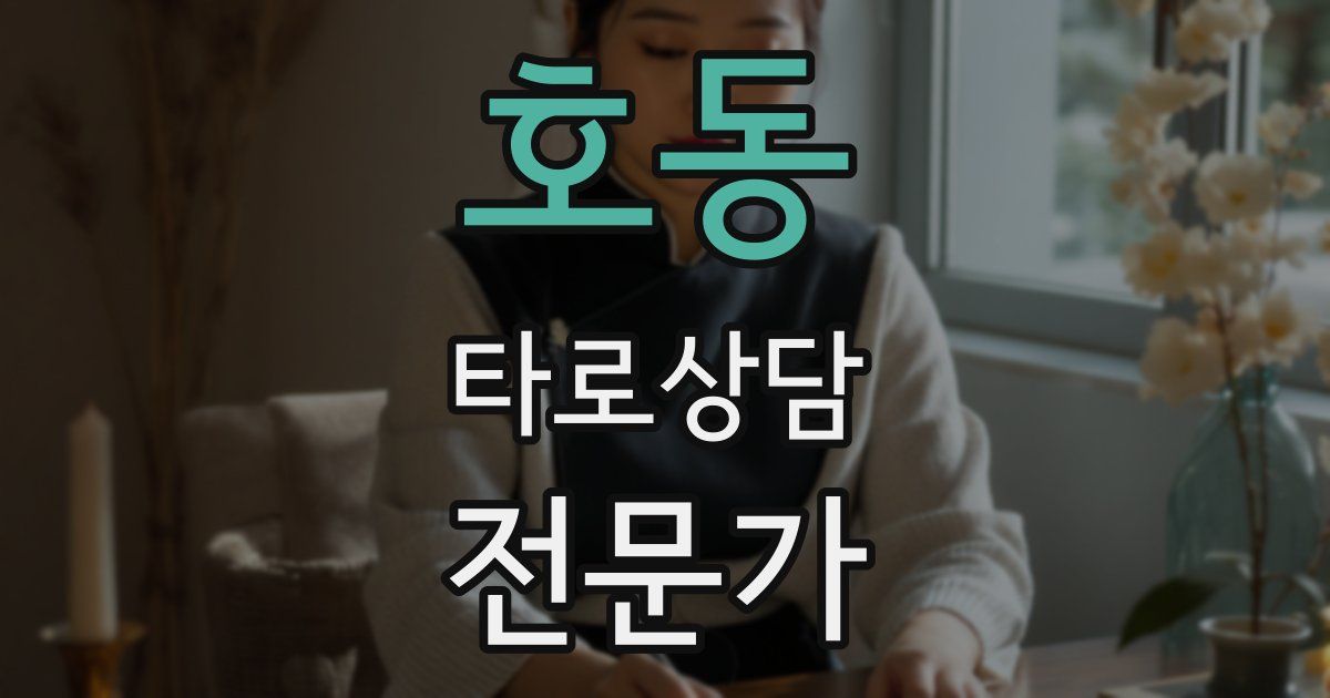 호동 타로상담전문가 자격증