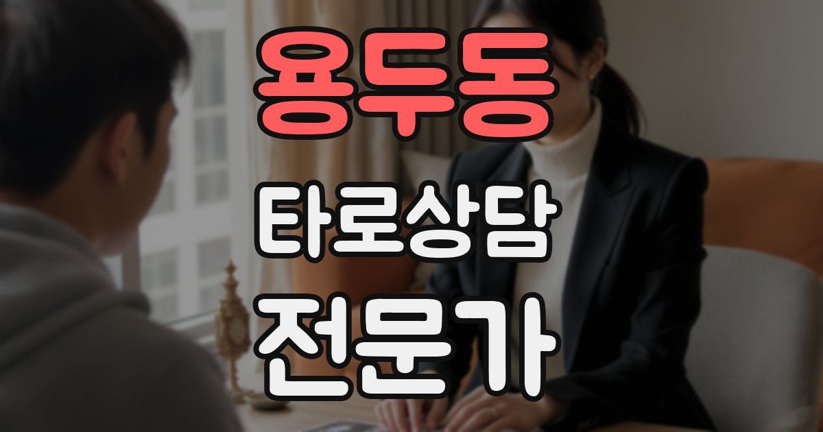 용두동 타로상담전문가 자격증