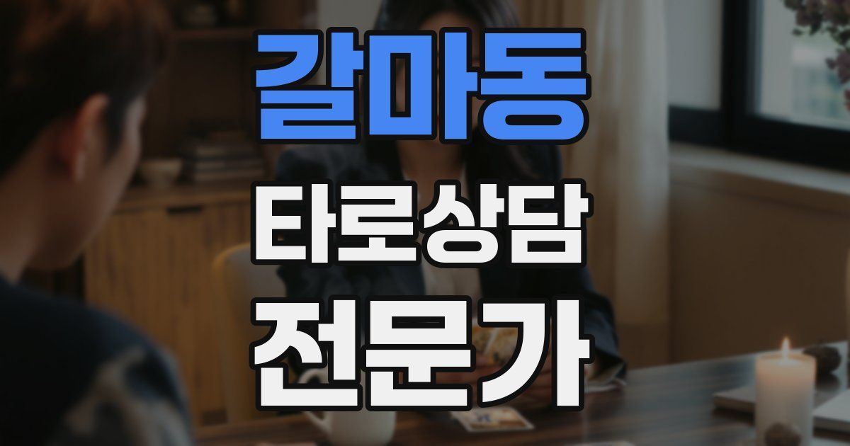 갈마동 타로상담전문가 자격증