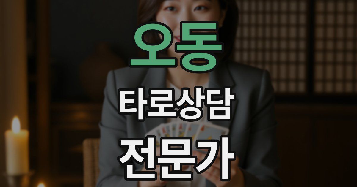 오동 타로상담전문가 자격증