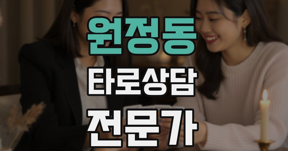 원정동 타로상담전문가 자격증