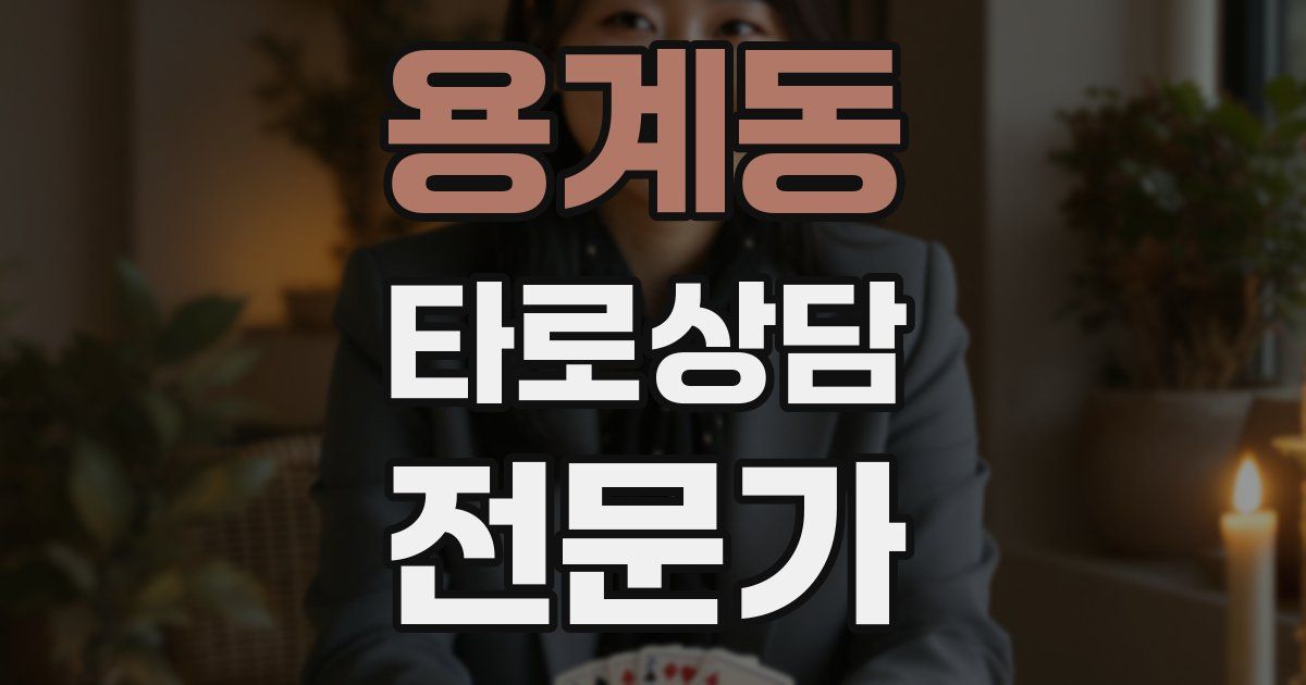 용계동 타로상담전문가 자격증