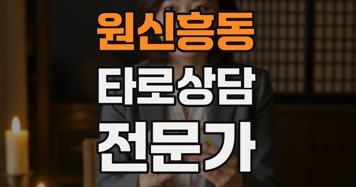 원신흥동 타로상담전문가 자격증