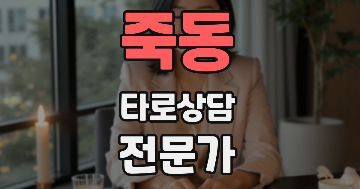 죽동 타로상담전문가 자격증