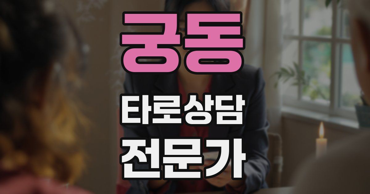 궁동 타로상담전문가 자격증