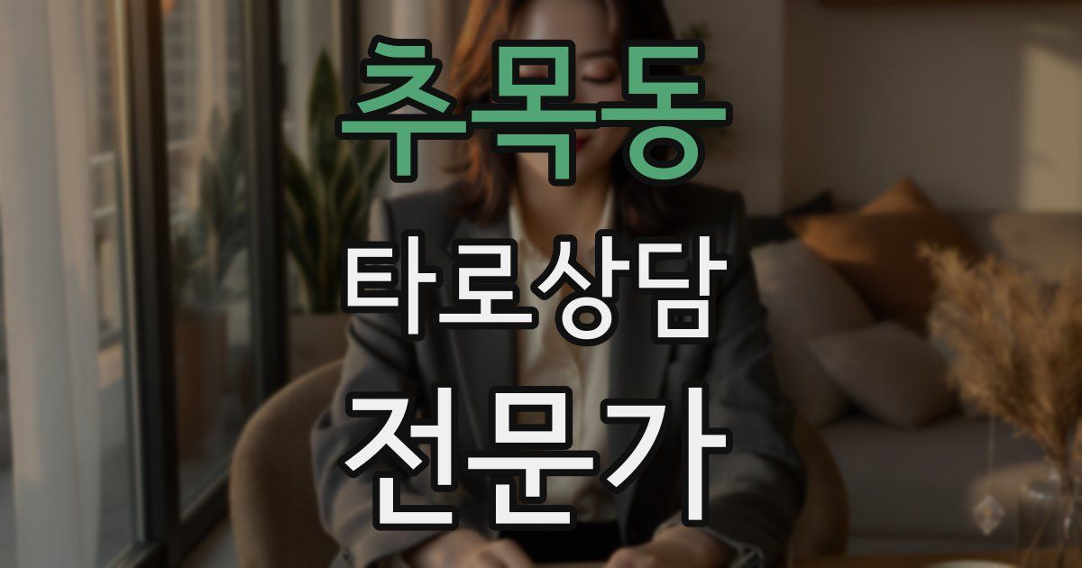 추목동 타로상담전문가 자격증