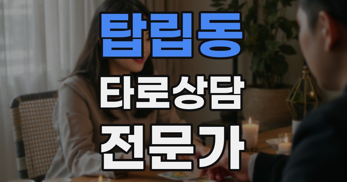 탑립동 타로상담전문가 자격증