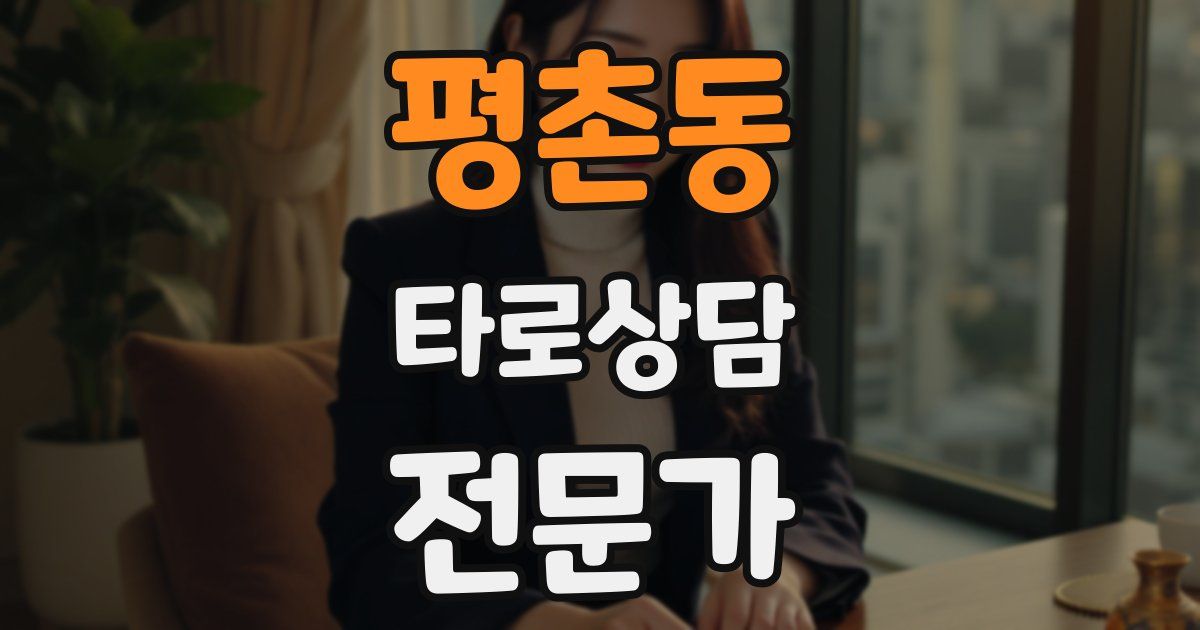 평촌동 타로상담전문가 자격증