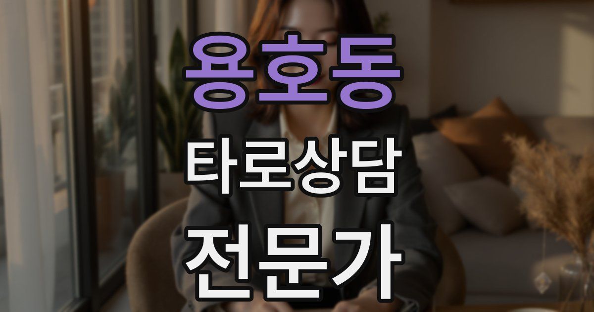 용호동 타로상담전문가 자격증