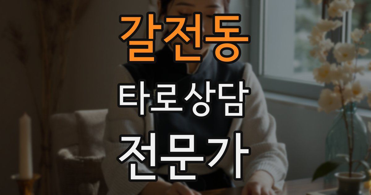 갈전동 타로상담전문가 자격증