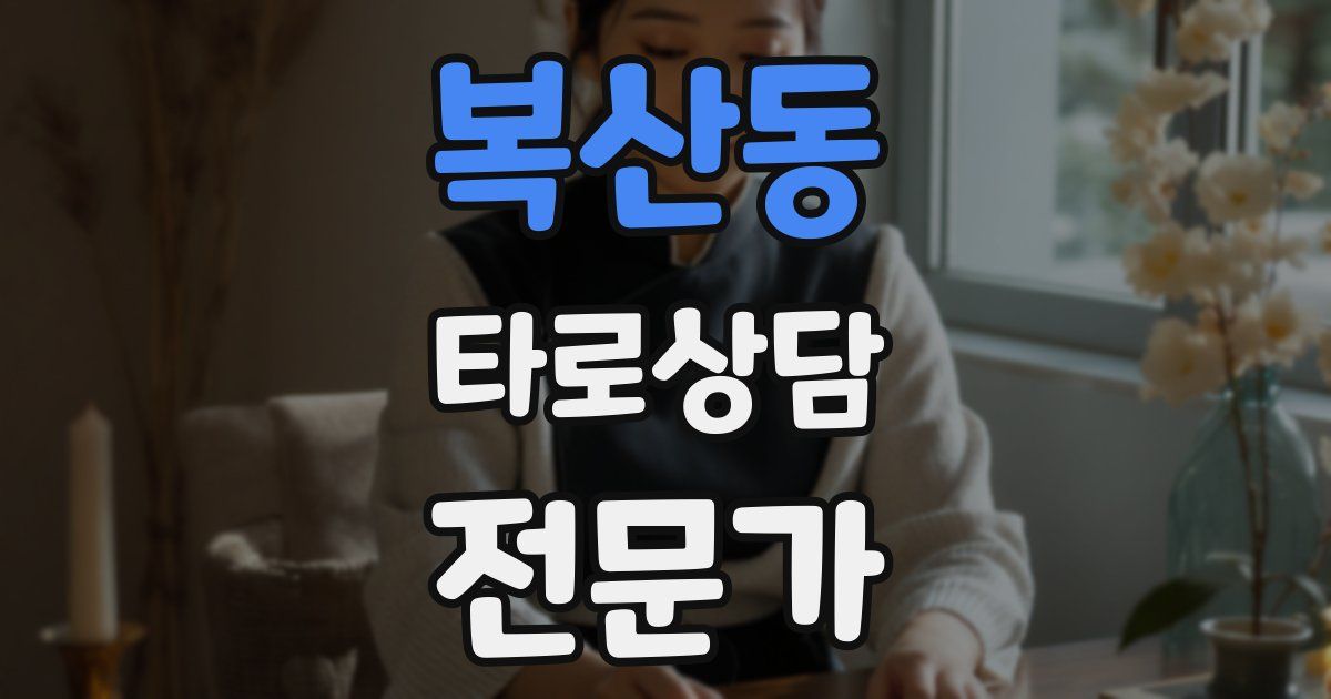 복산동 타로상담전문가 자격증