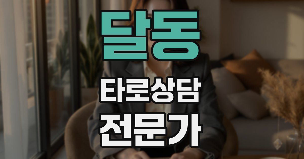 달동 타로상담전문가 자격증