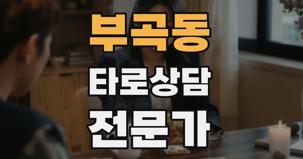 부곡동 타로상담전문가 자격증