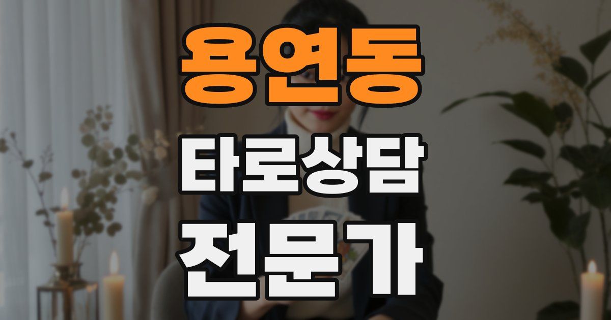 용연동 타로상담전문가 자격증