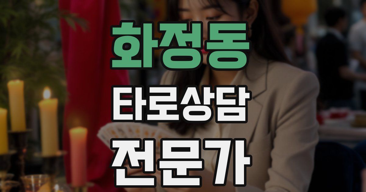화정동 타로상담전문가 자격증