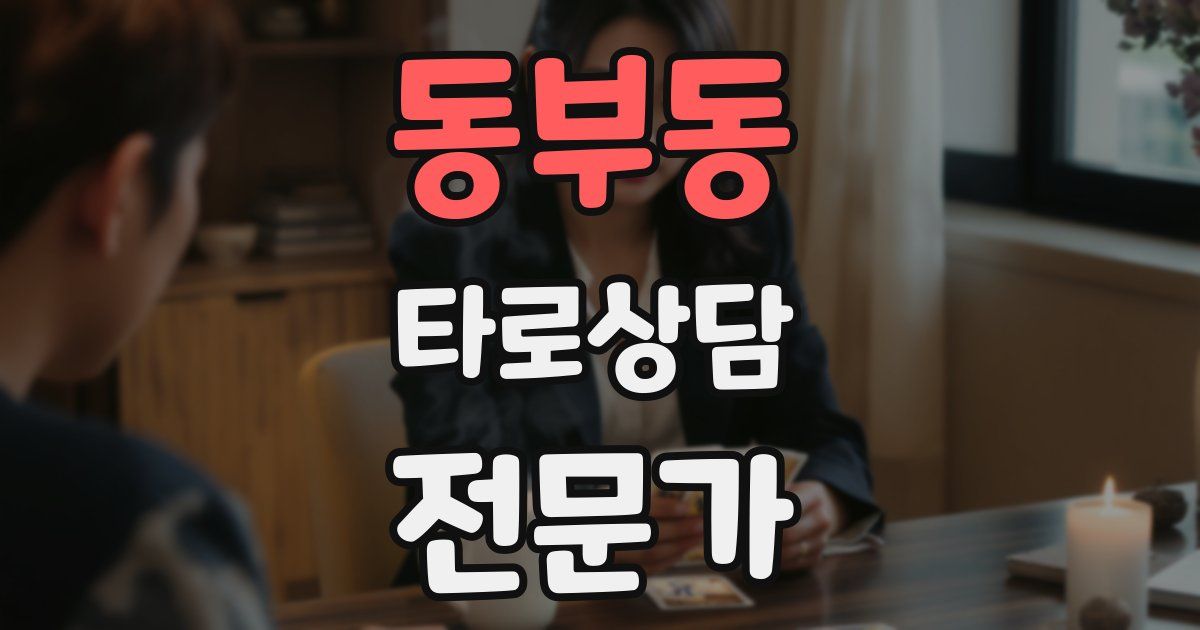 동부동 타로상담전문가 자격증