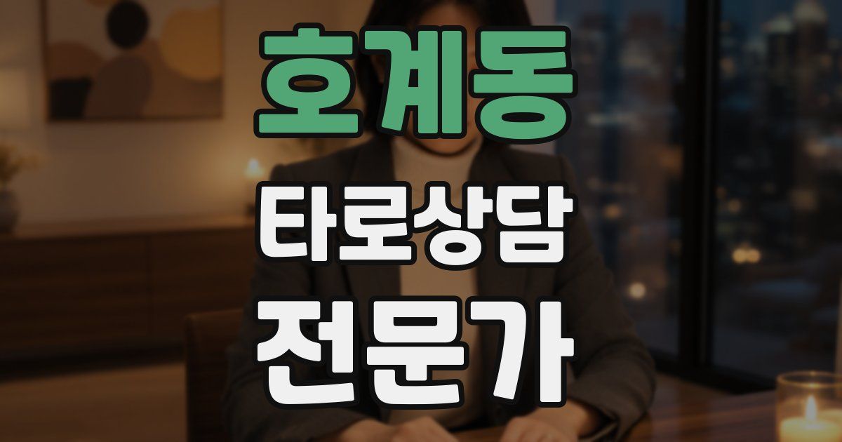 호계동 타로상담전문가 자격증