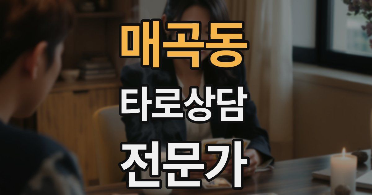 매곡동 타로상담전문가 자격증