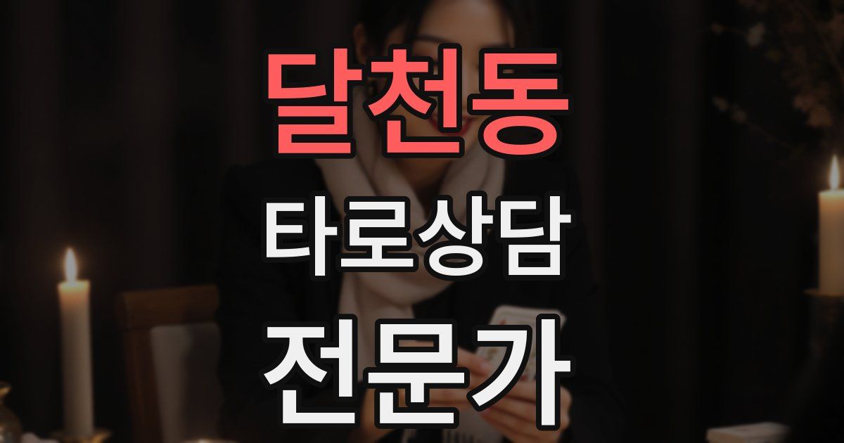 달천동 타로상담전문가 자격증