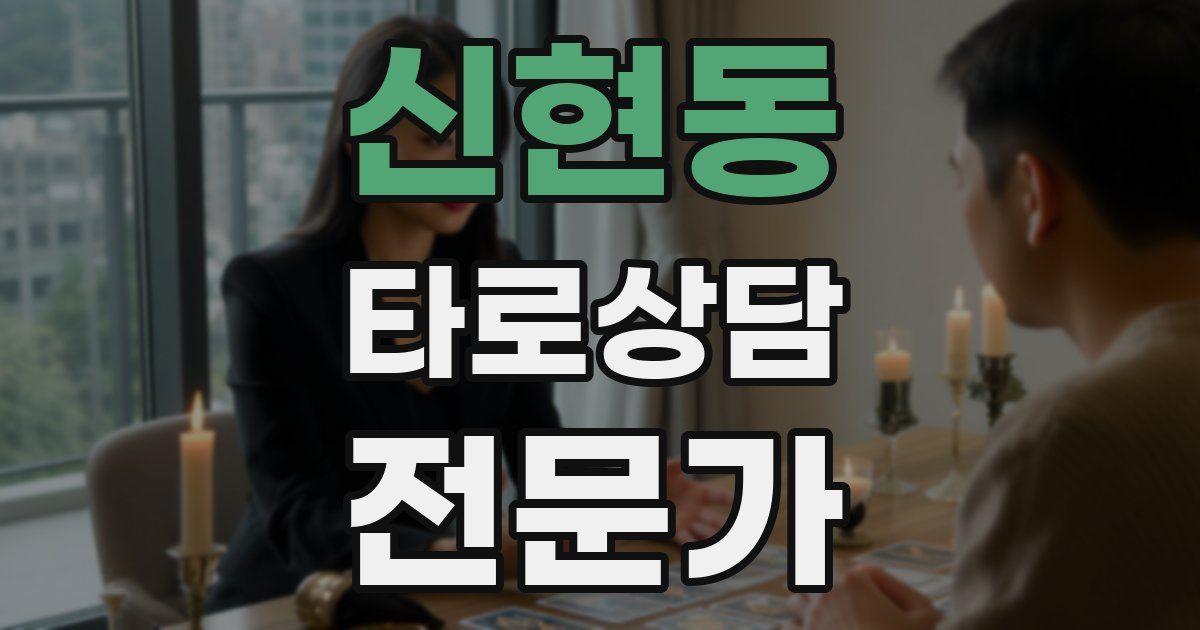 신현동 타로상담전문가 자격증