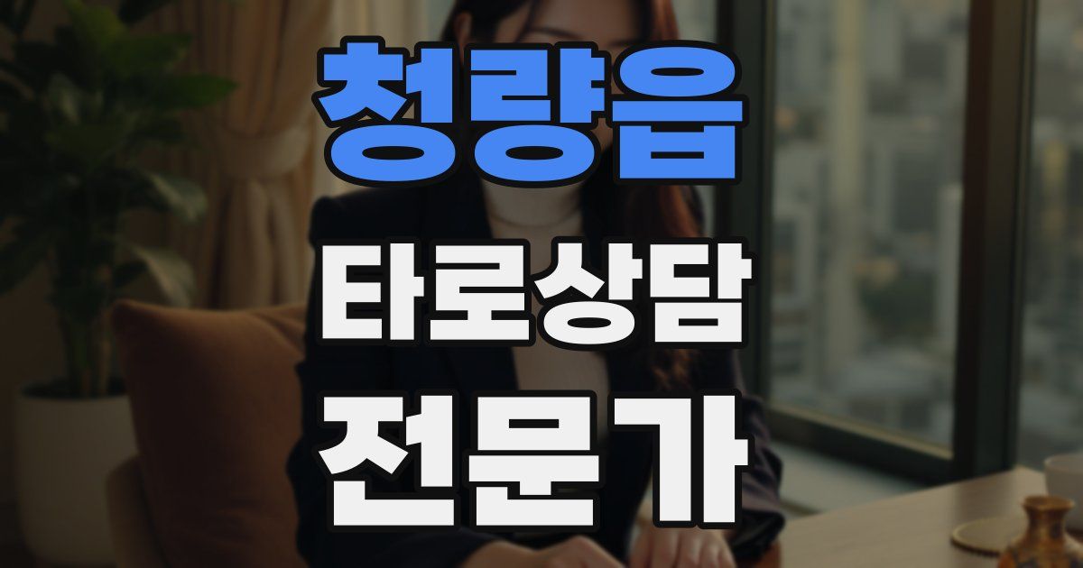 청량읍 타로상담전문가 자격증