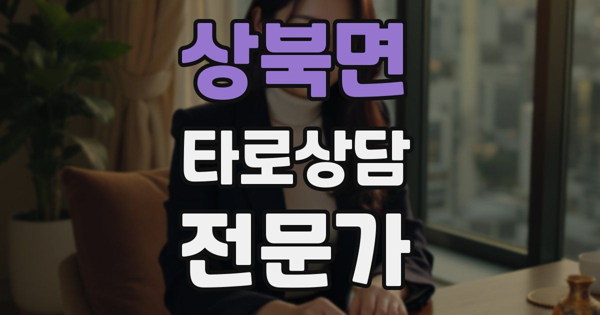 상북면 타로상담전문가 자격증