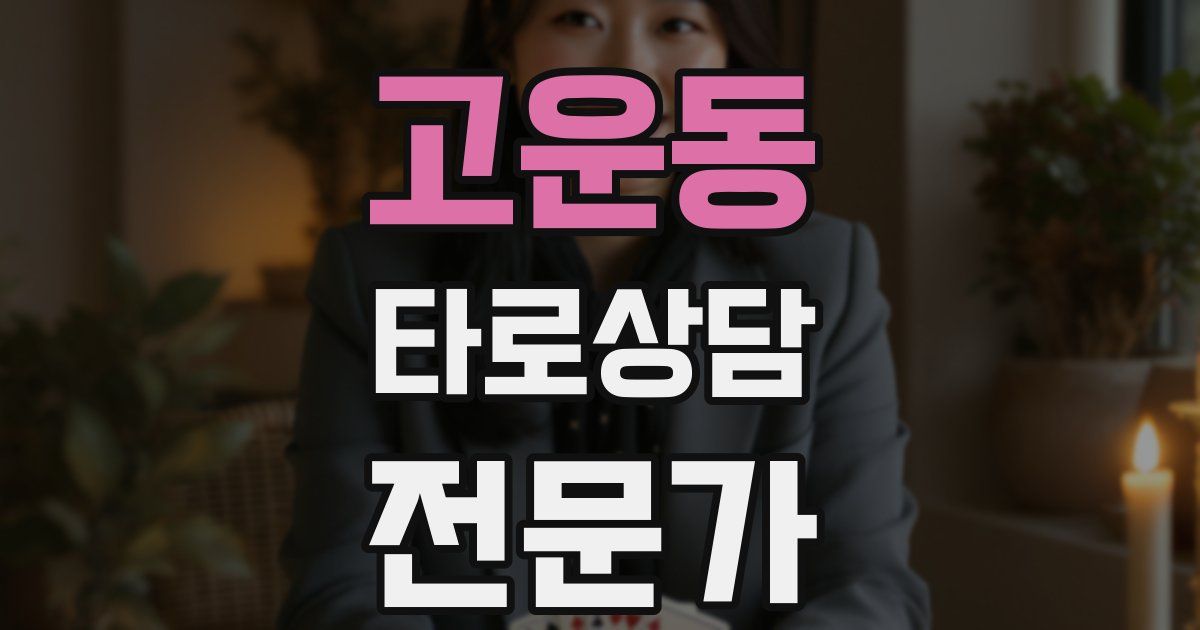 고운동 타로상담전문가 자격증
