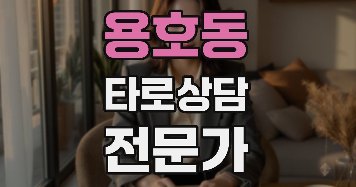 용호동 타로상담전문가 자격증