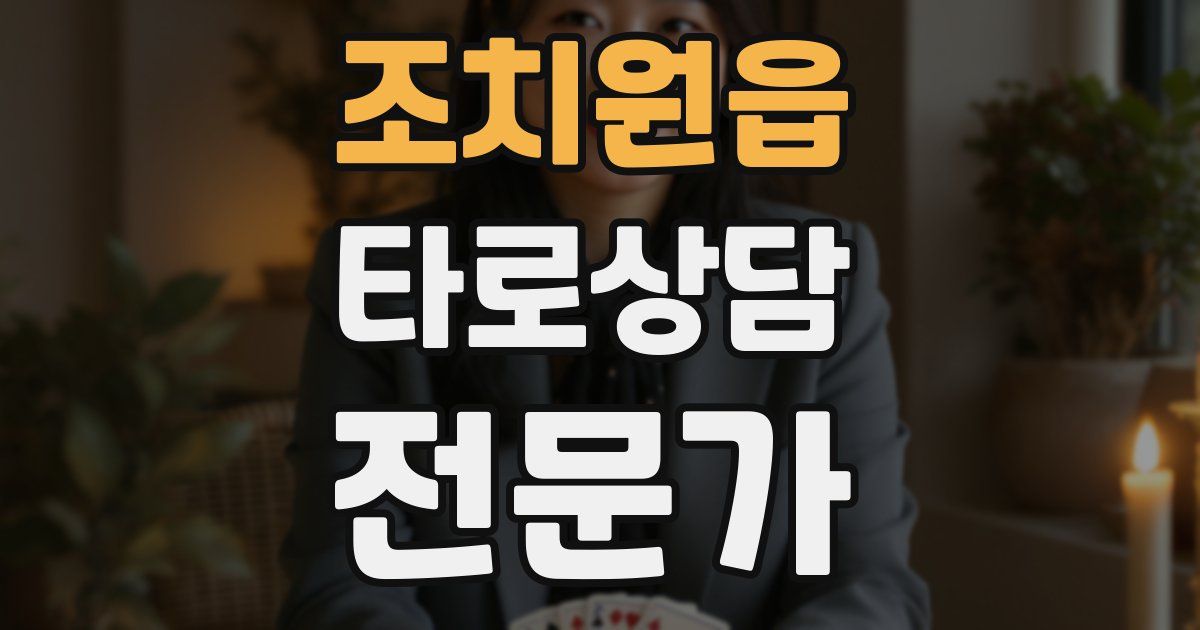 조치원읍 타로상담전문가 자격증