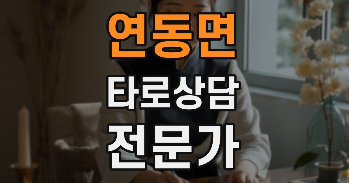 연동면 타로상담전문가 자격증