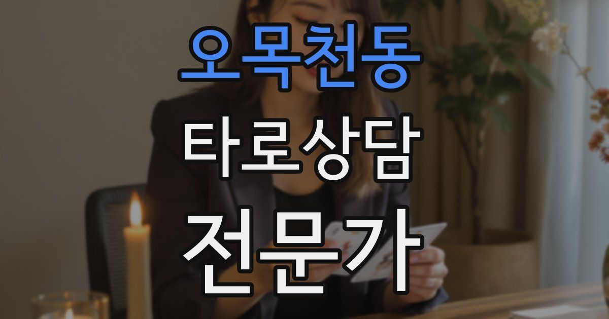 오목천동 타로상담전문가 자격증