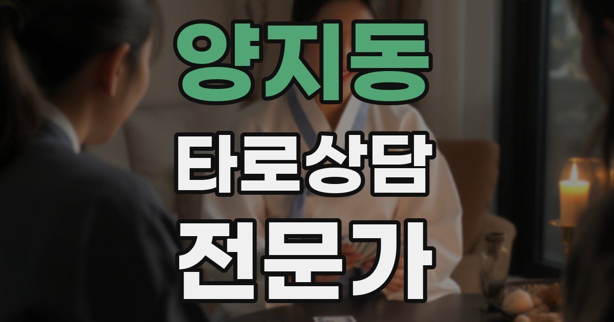 양지동 타로상담전문가 자격증