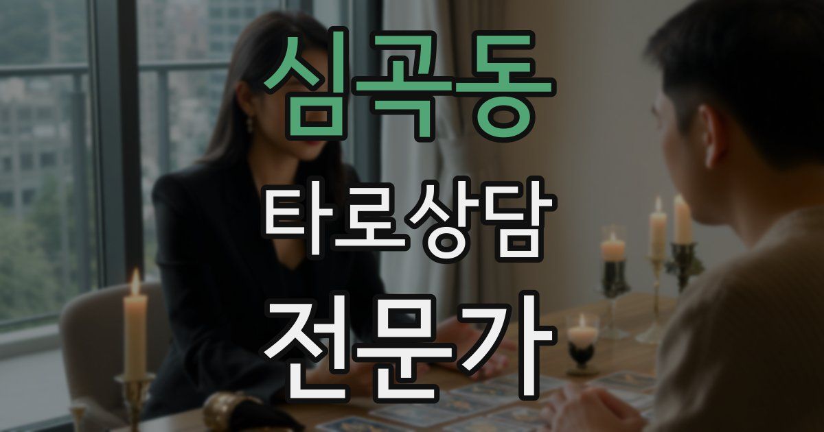 심곡동 타로상담전문가 자격증